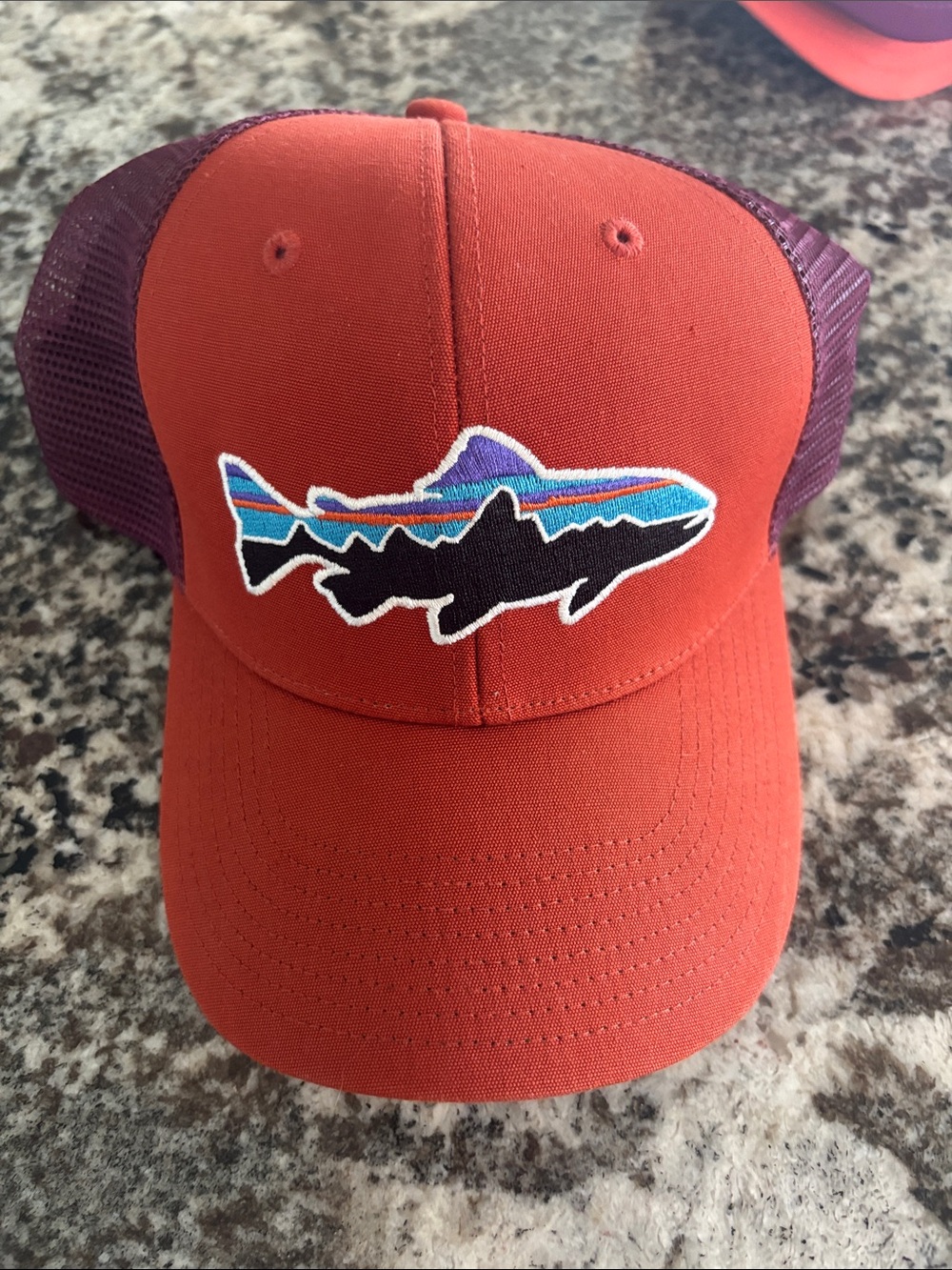 Patagonia Trucker Hat